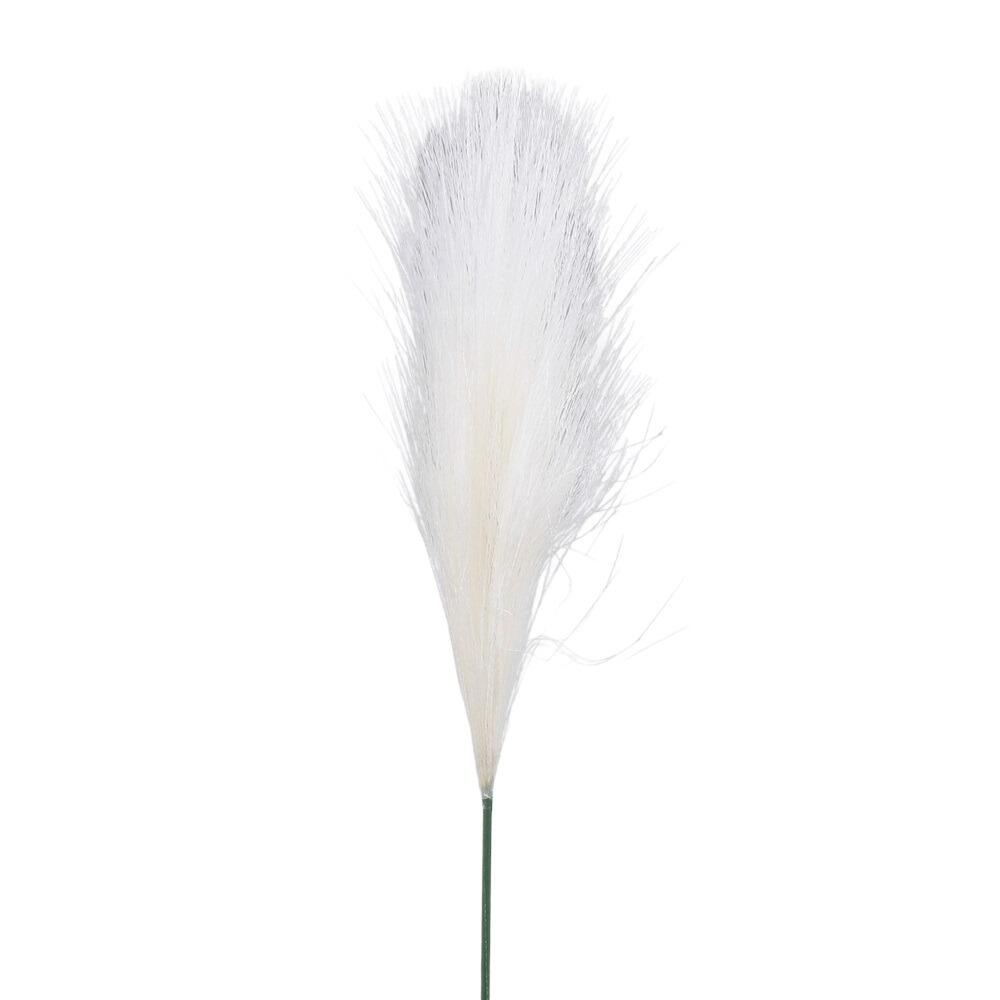 pampas grass stem ivory