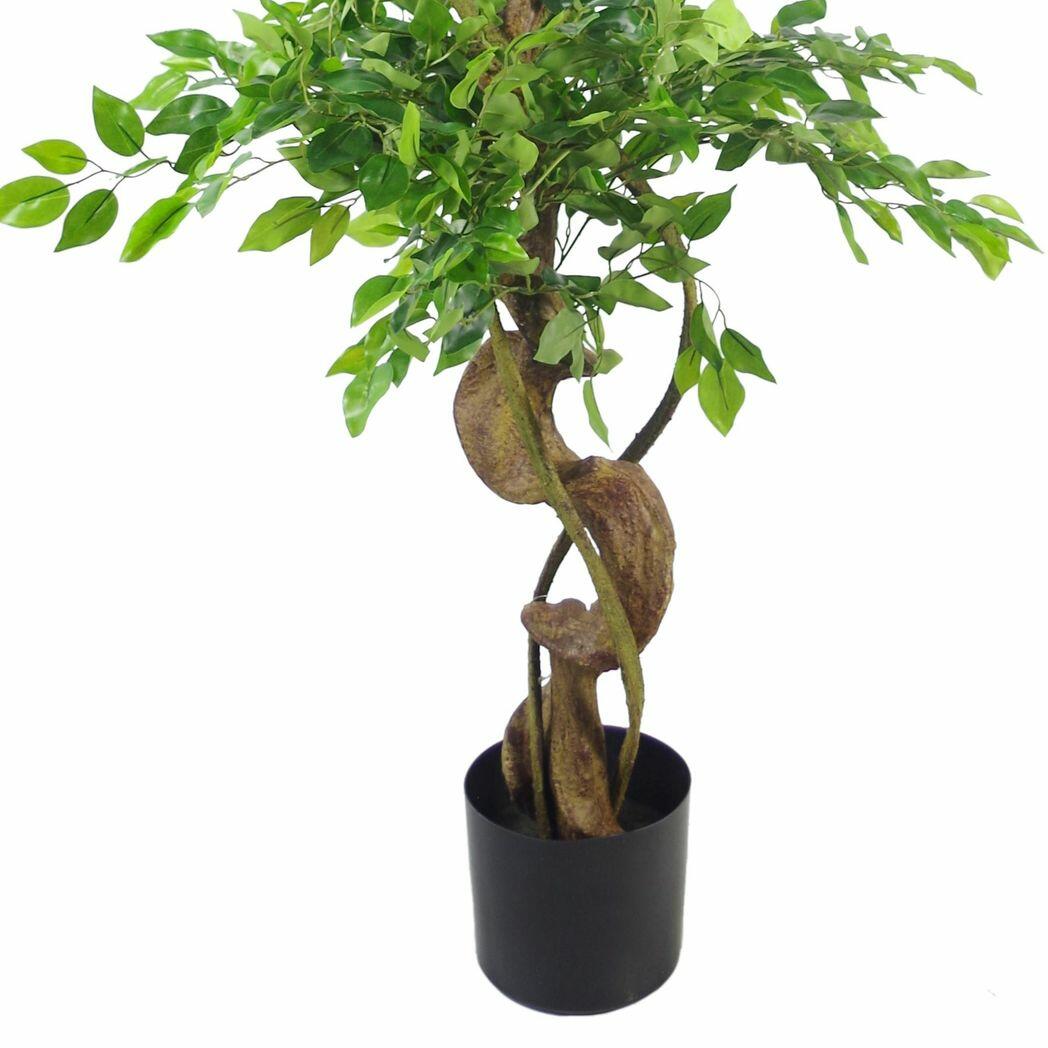 Twisted Trunk Artificial Japanese Fruticosa Ficus Tree