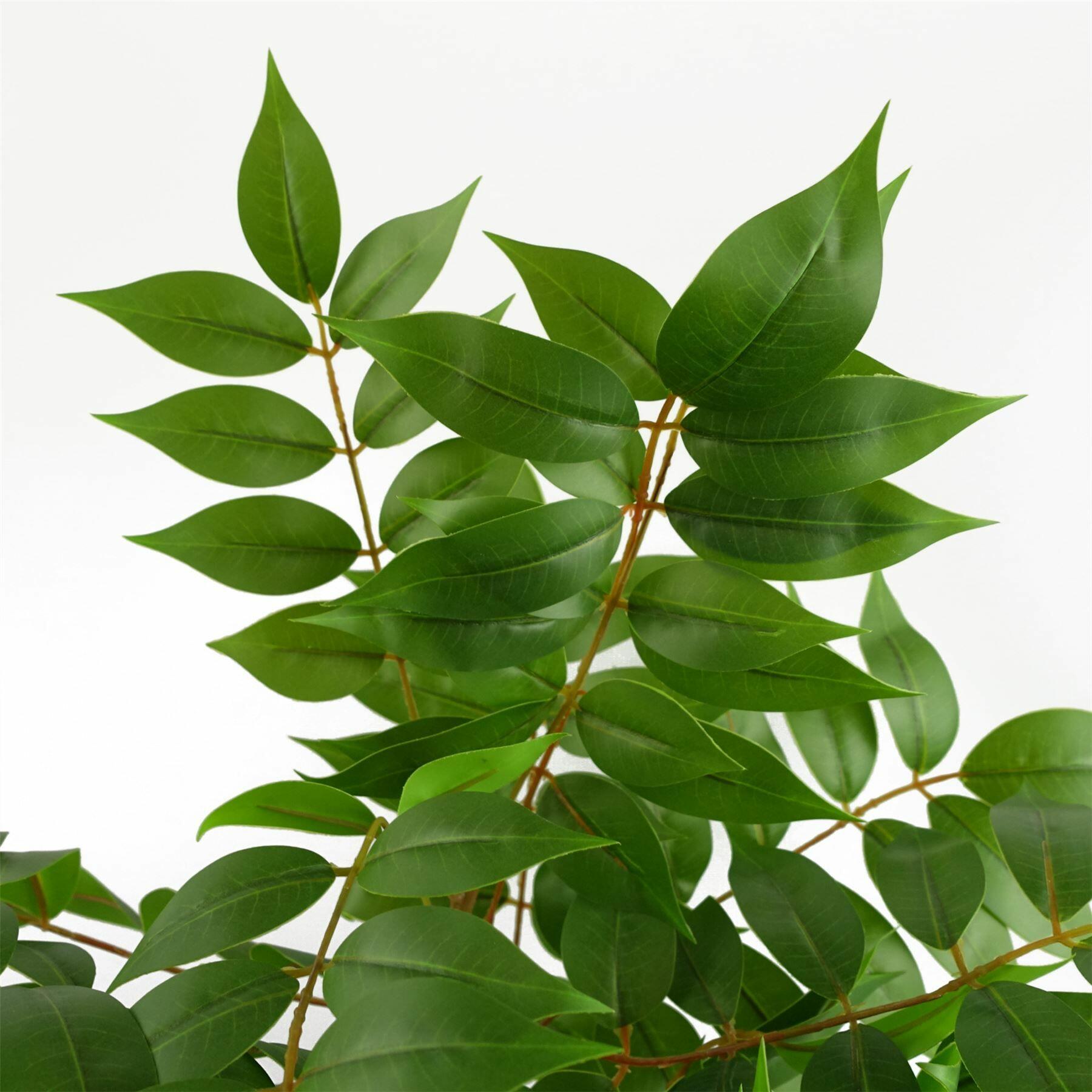 Artificial Toona Sinensis Plant Evergreen