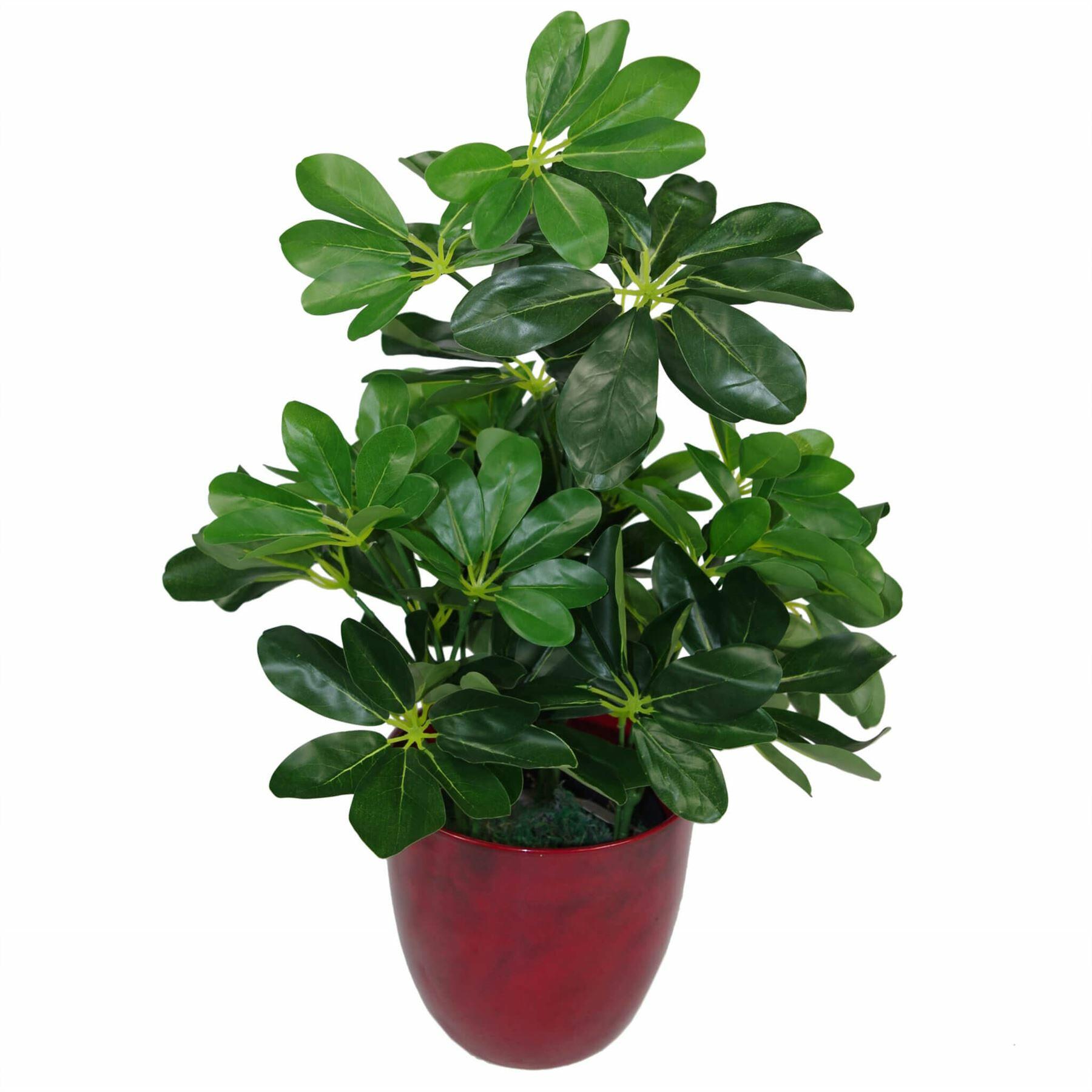 Dark Green Artificial Schefflera Arboricola Plant