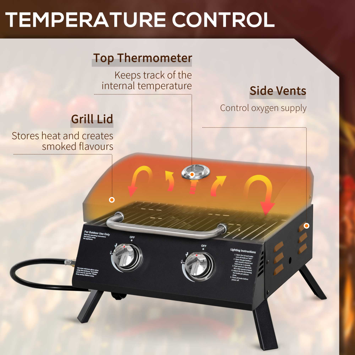 2 Burner Gas BBQ Grill Portable Black
