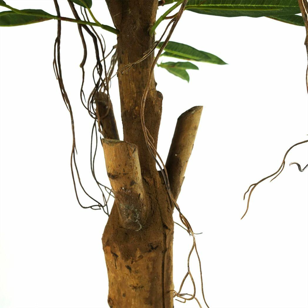 Longifolia Ficus Tree Artificial Natural Trunk
