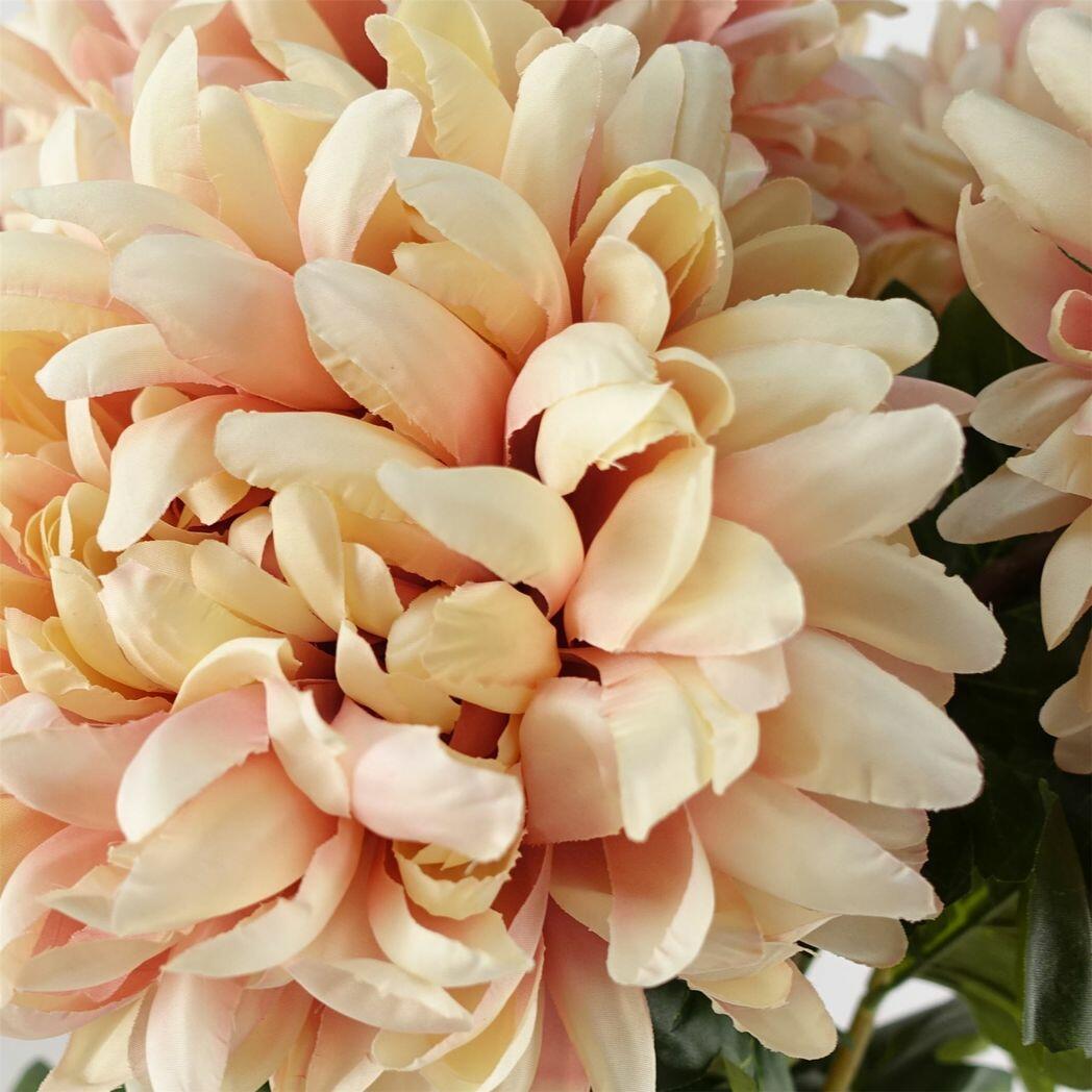 Pack of 6 x 75cm Extra Large Reflex Chrysanthemum