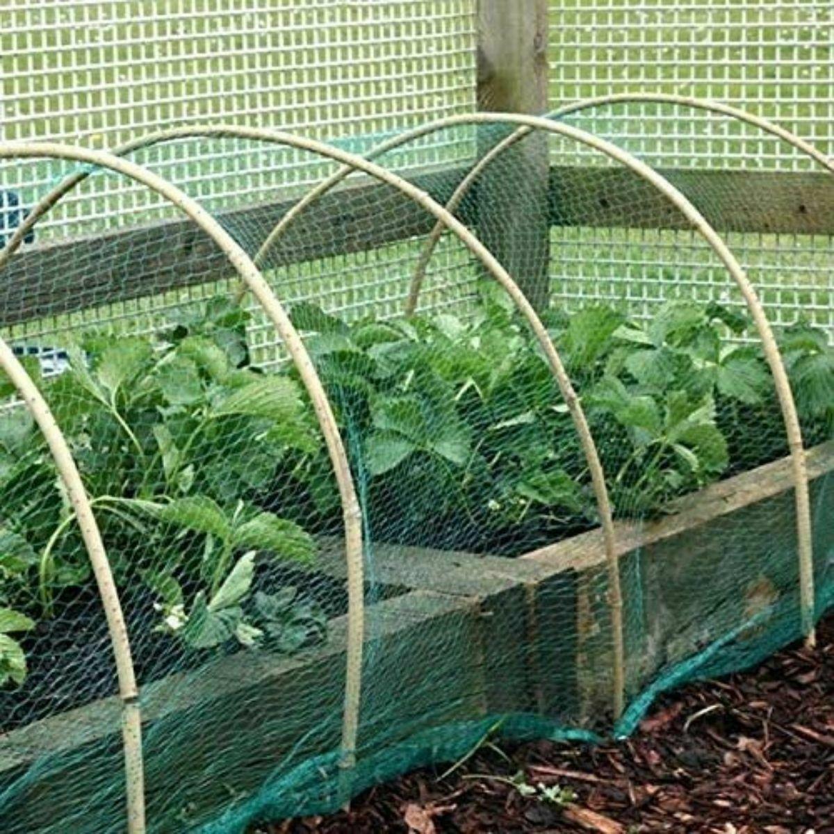 6 X Garden Netting 2m x 10m