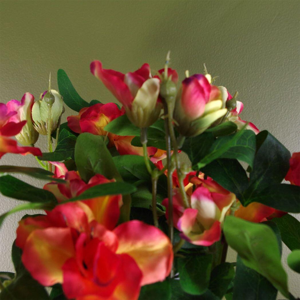 image of artificial rhododendron flowering plant orange view 4
