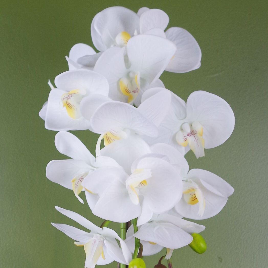 image of 52cm artificial orchid large white and gold view 1
