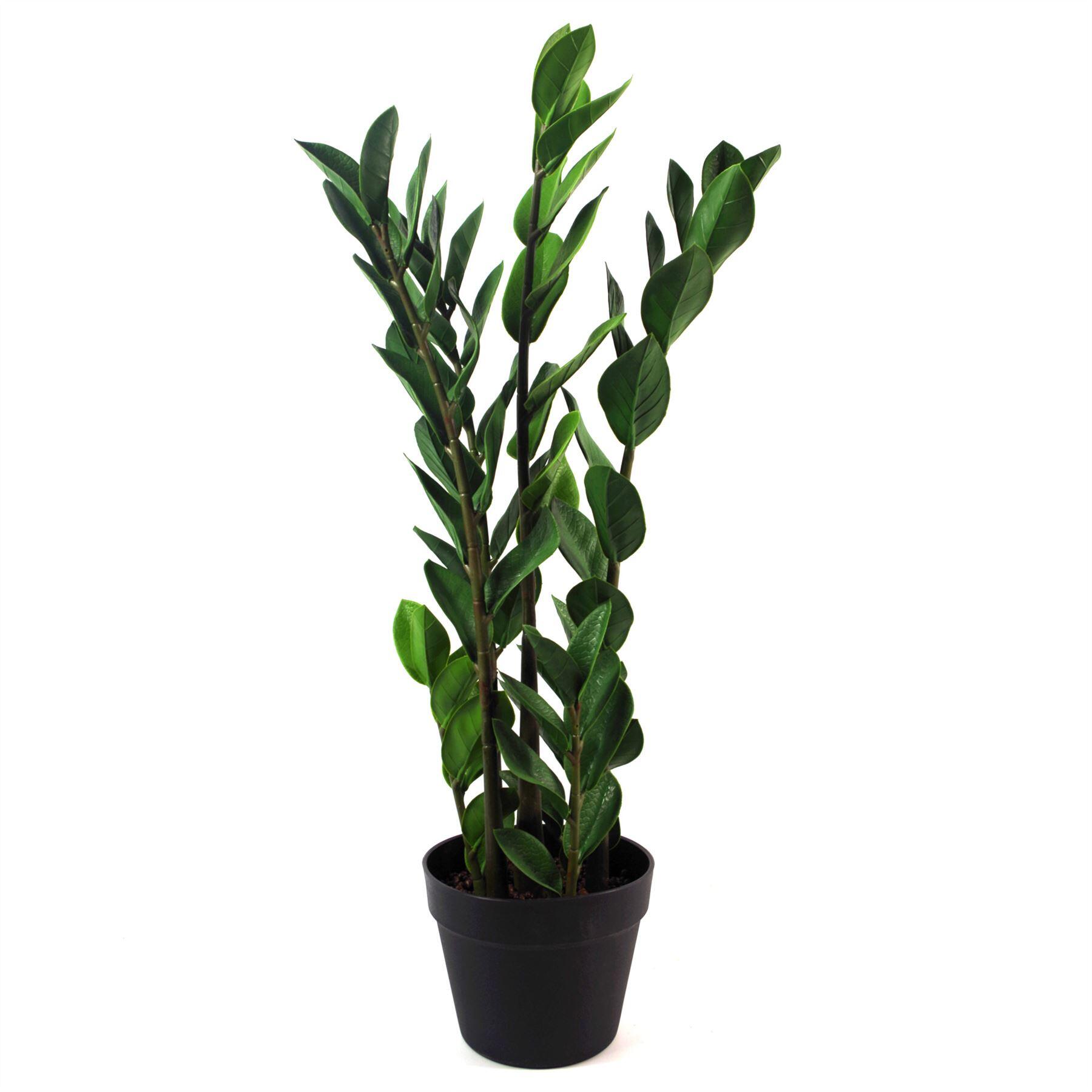 image of 75cm artificial zanzibar green gem zamioculcas succulent indoor plant