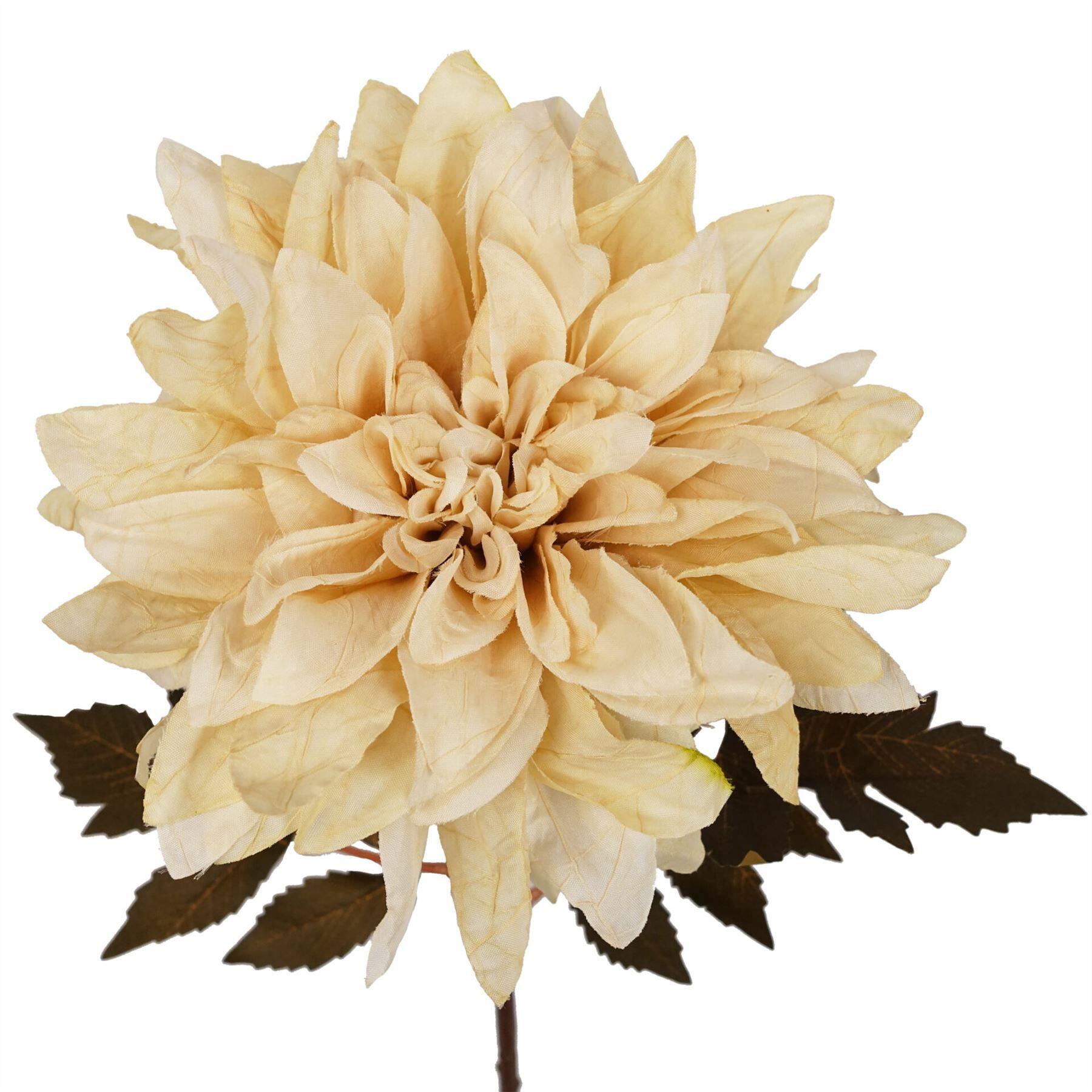image showing 55cm dahlia flower stem - dusty cream