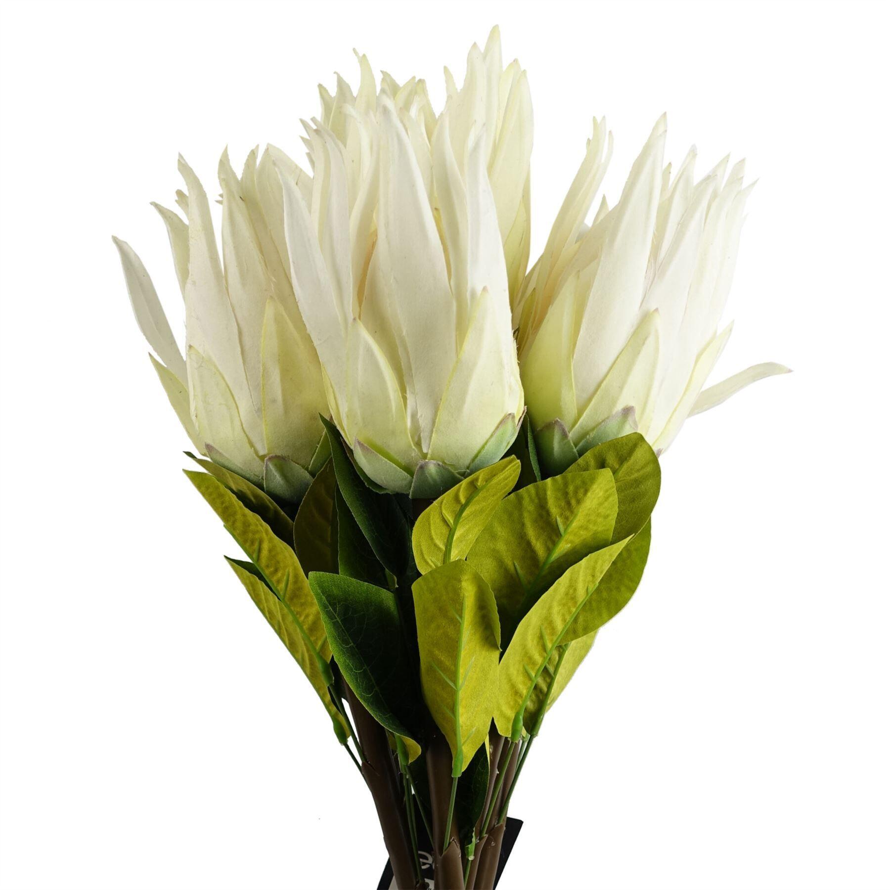 close-up of 65cm protea sugarbush flower stem - white details