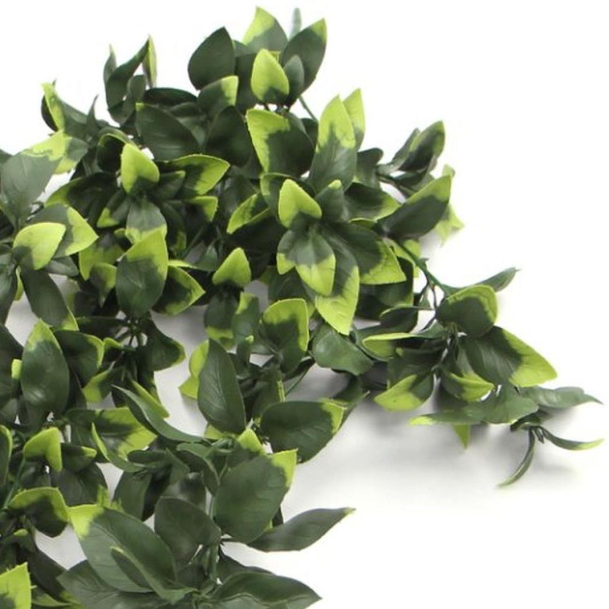 artificial plant