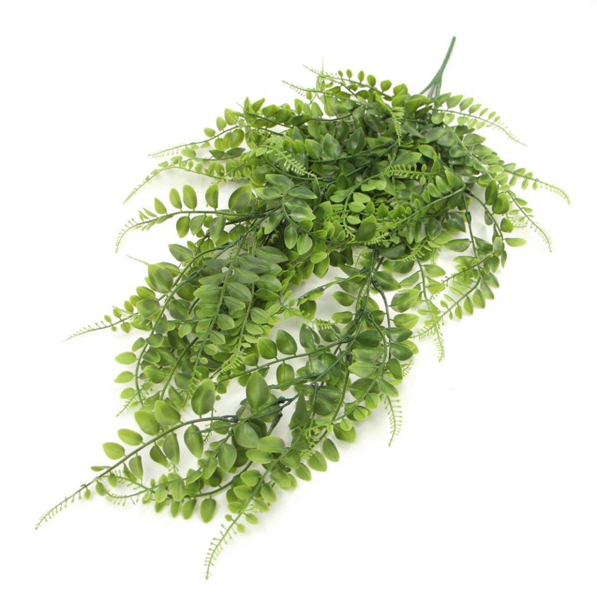 and green hanging fire pothos uv resistant product image