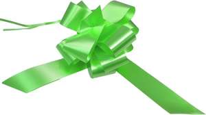 lime green  wedding bows gift hamper