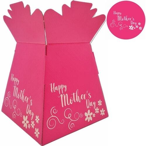 cerise pink flower boxes
