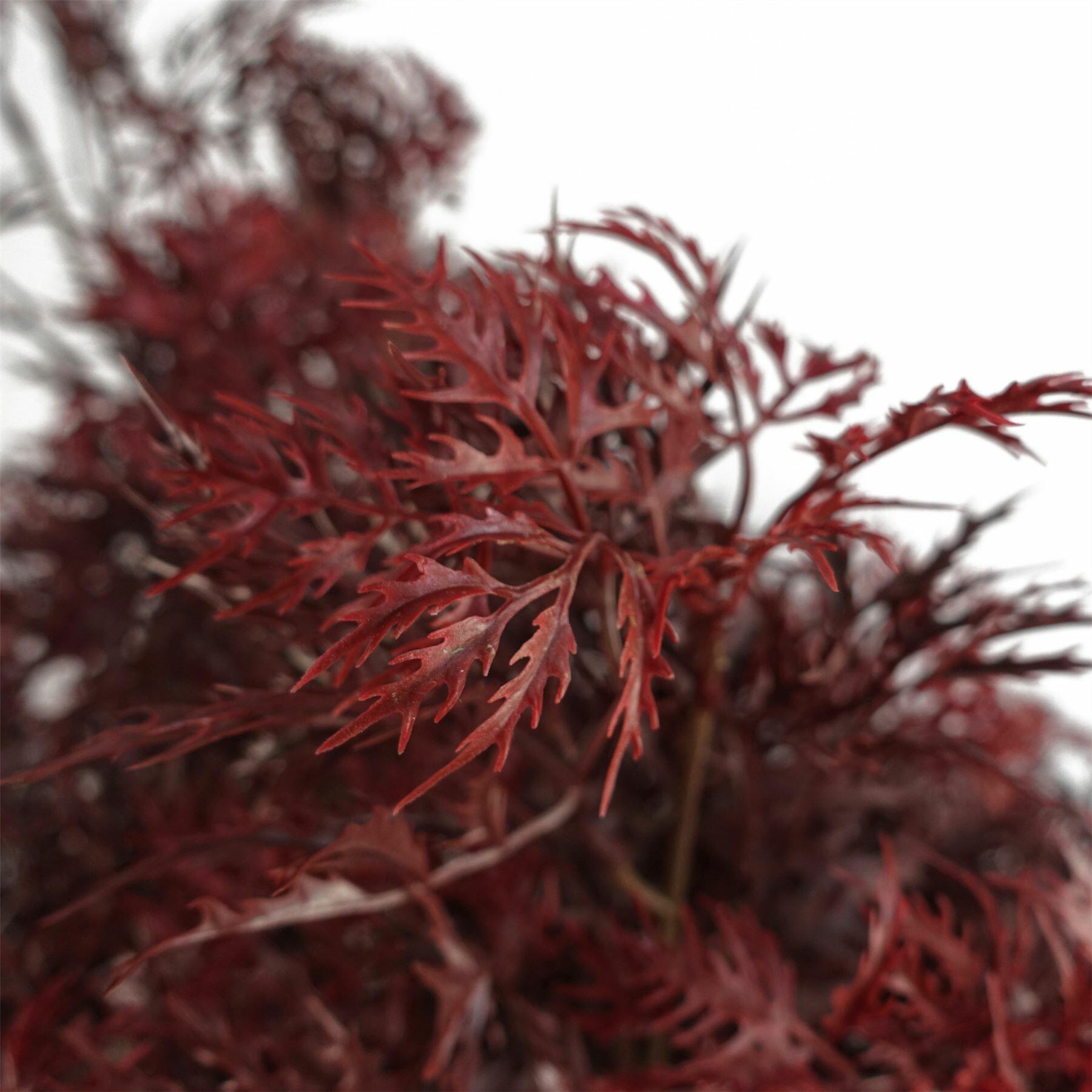 Red Aralia Tree Artificial UV Resistant Outdoor