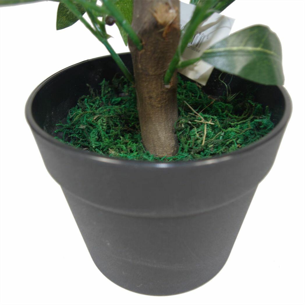 Dwarf Artificial Bay Trees