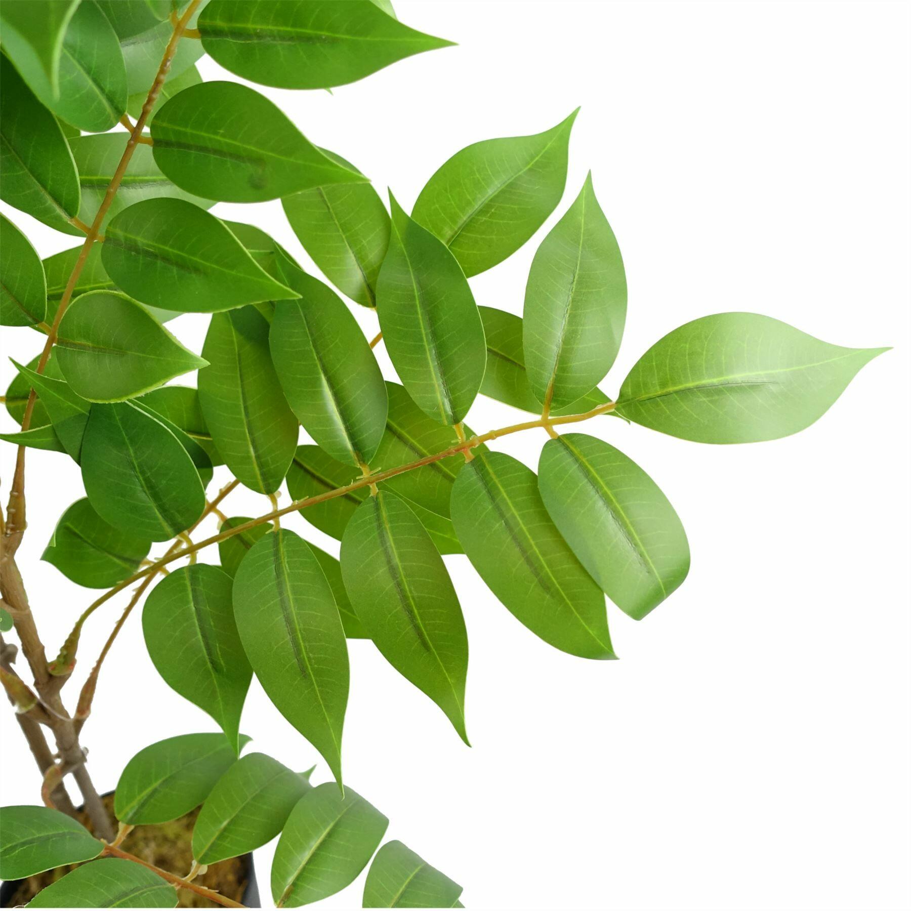 Artificial Toona Sinensis Plant Evergreen