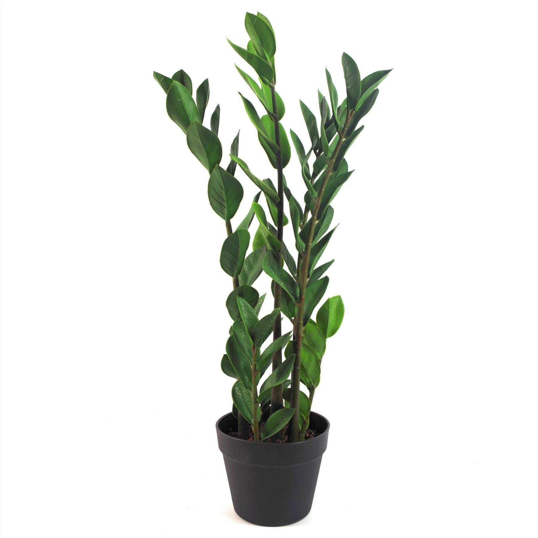 Artificial Zanzibar Green Gem Zamioculcas Succulent Indoor Plant