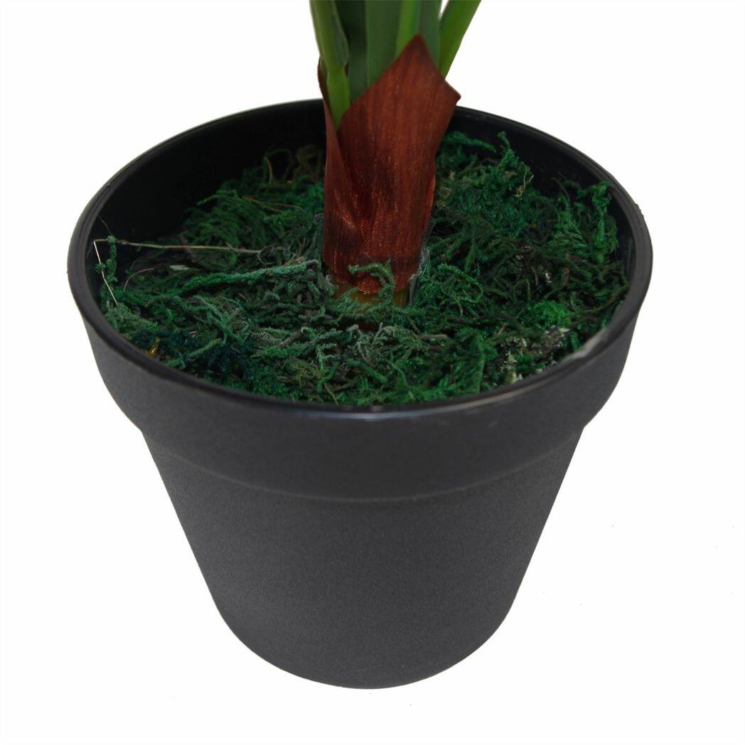 60cm Bushy Large Artificial Bird's Nest Fern Plant