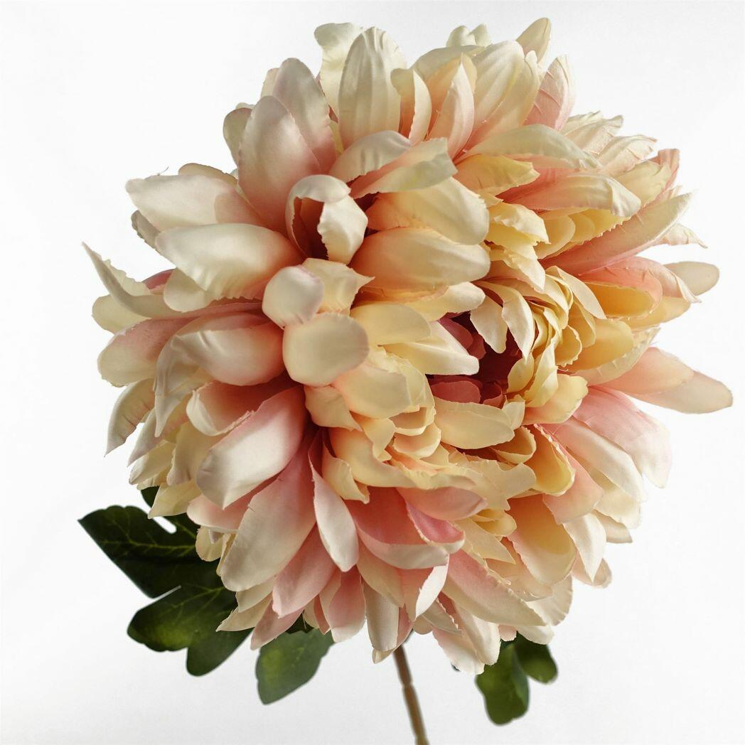Pack of 6 x 75cm Extra Large Reflex Chrysanthemum