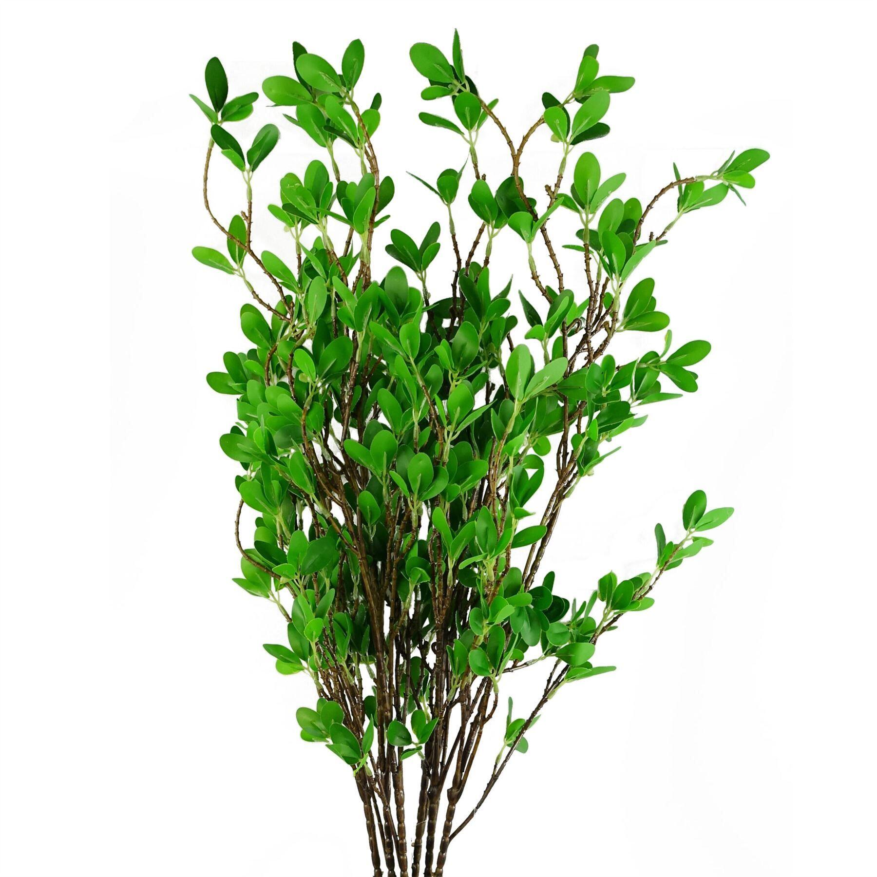 pack of 6 x 100cm mini leaf ficus view 1
