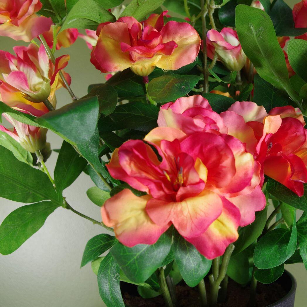 image of artificial rhododendron flowering plant orange view 5