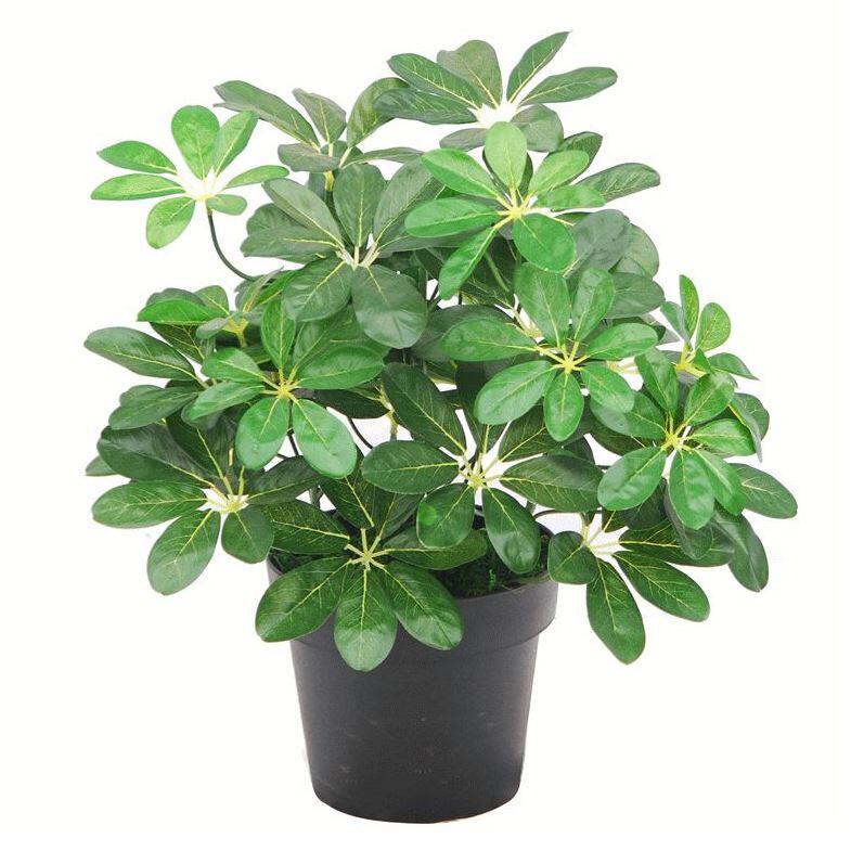 image of 55cm dark green artificial umbrella plant