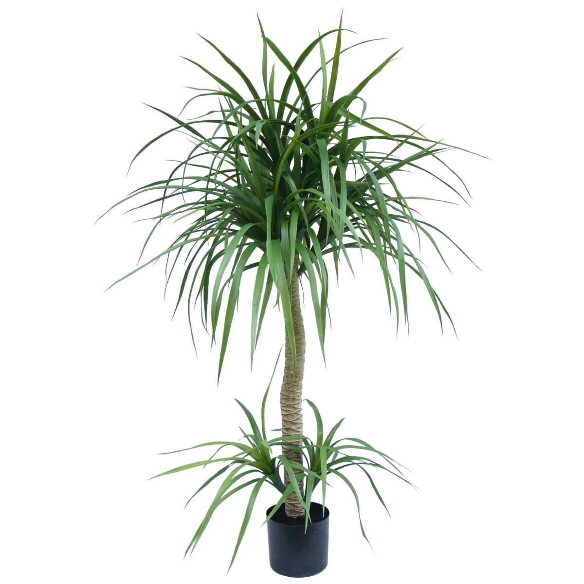 Picture of 120cm Dracaena Realistic Artificial Tree