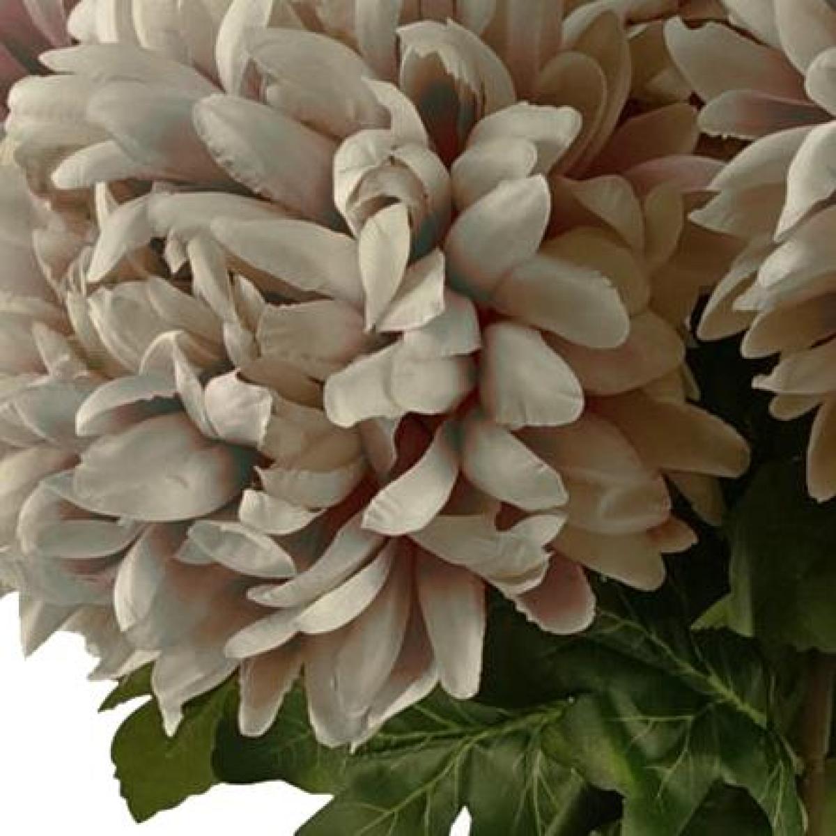 x of pack extra - 75cm mushroom product image