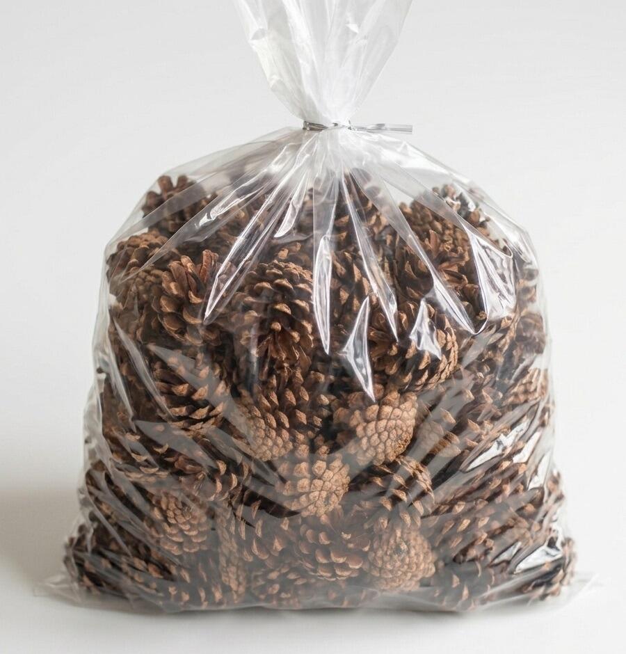 christmas austriaca pine cones bulk
