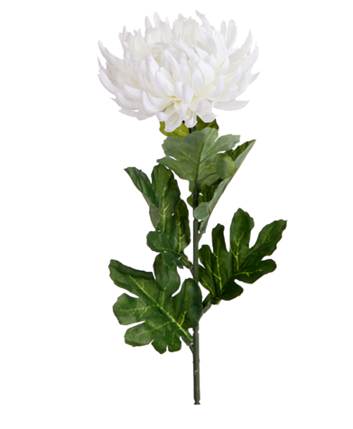 Chrysanthemum stem single flower ivory artificial flower