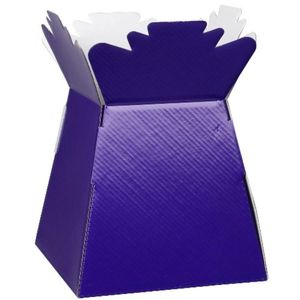 purple flower boxes