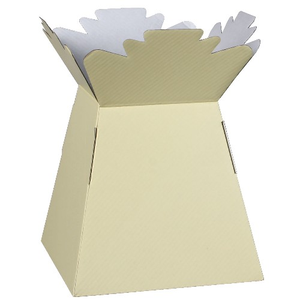 cardboard bouquet vase florist box ivory cream