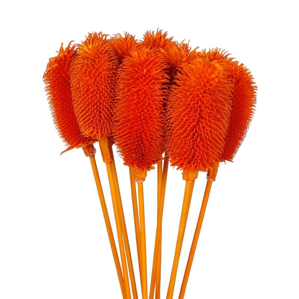 dried thistle stem