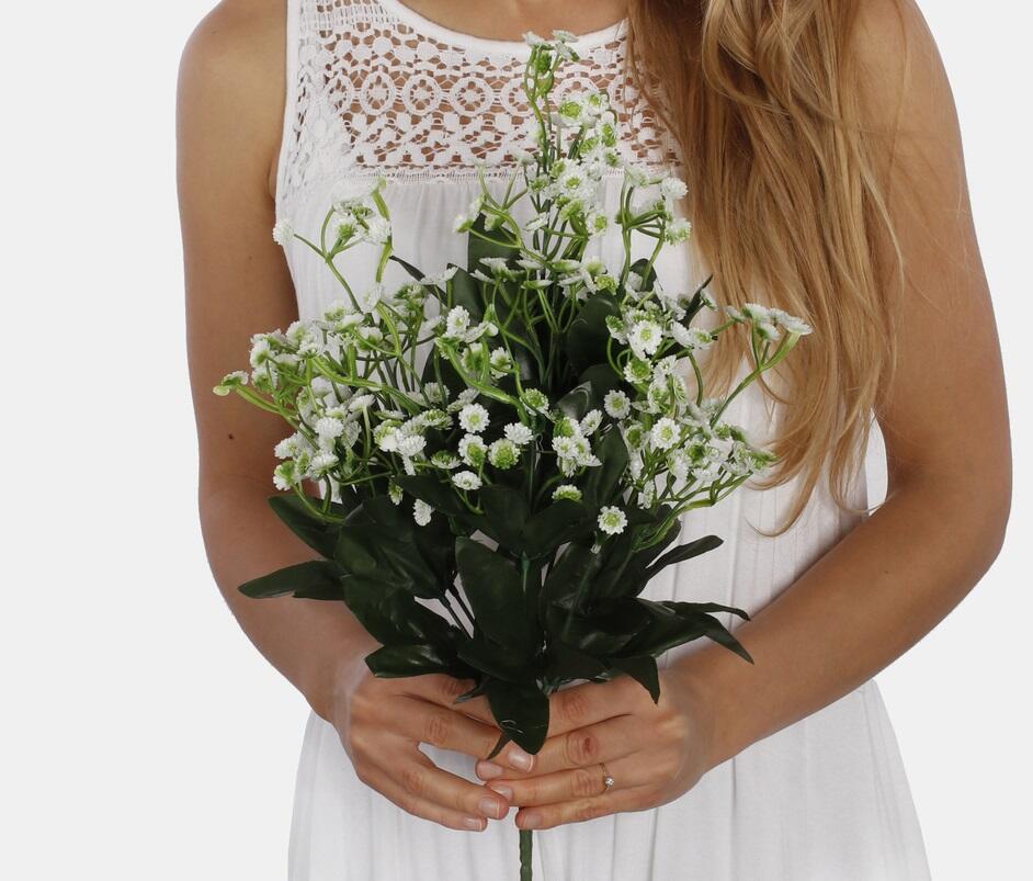 gypsophila bush white