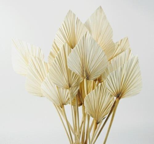 dried palm spears
