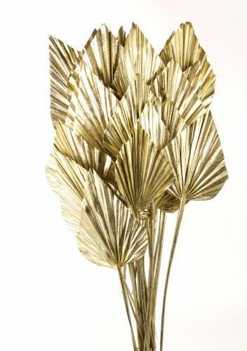 dried palm spear champagne