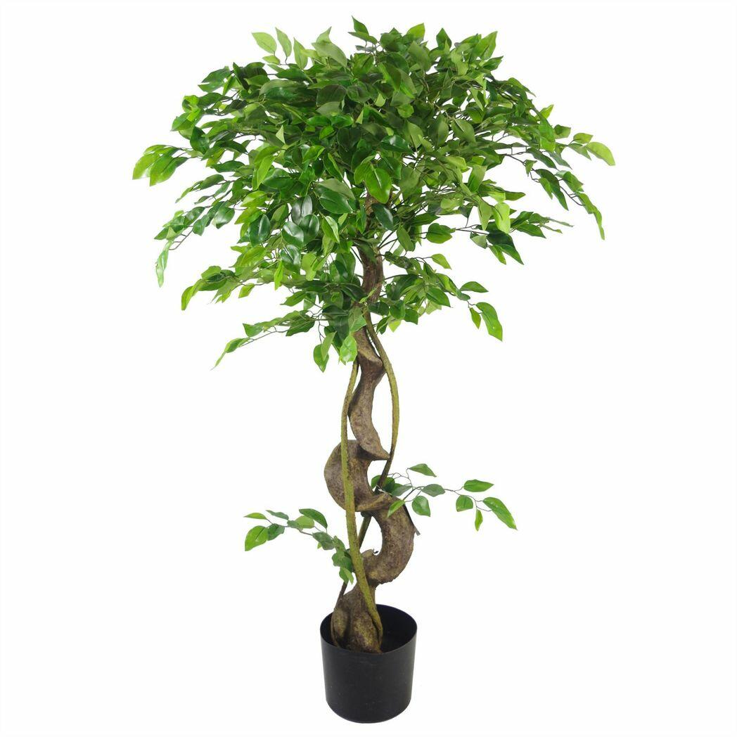 Artificial Japanese Fruticosa Ficus Tree Gold Planter