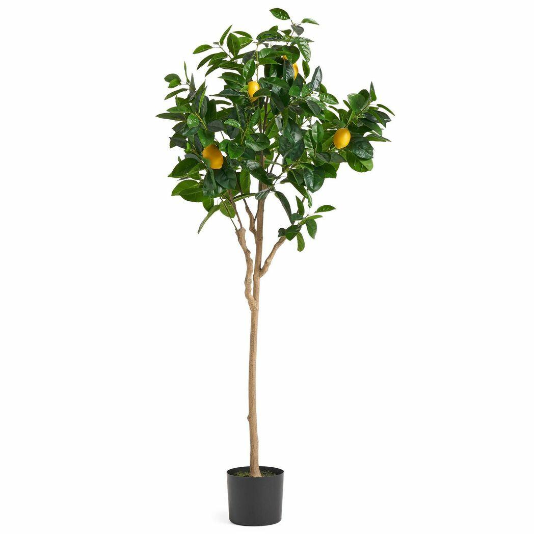 artificial lemon tree
