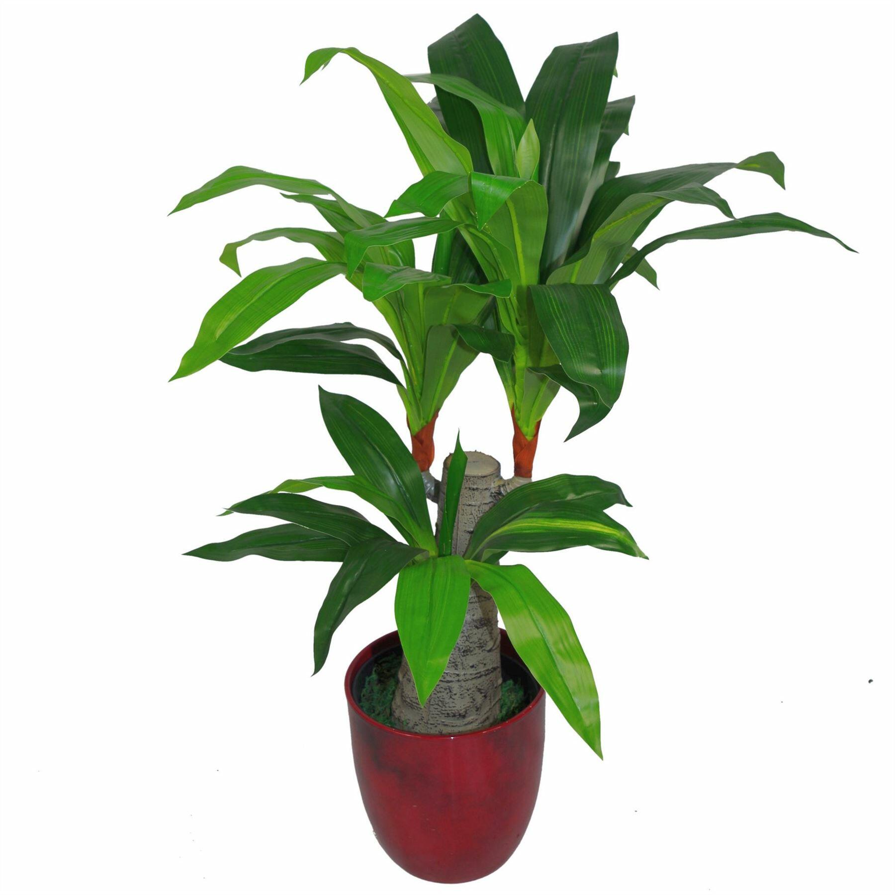 Artificial Dracaena Plant