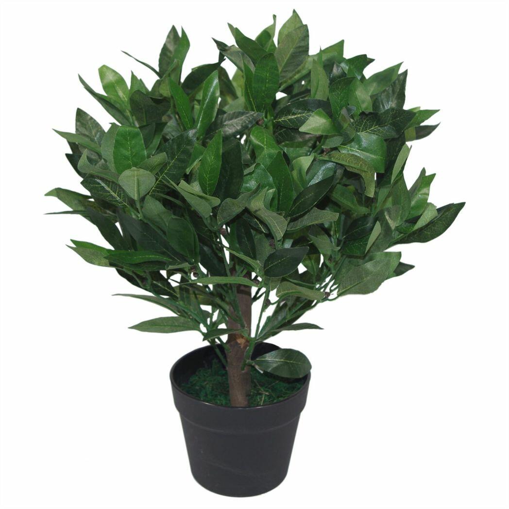Dwarf Artificial Bay Trees