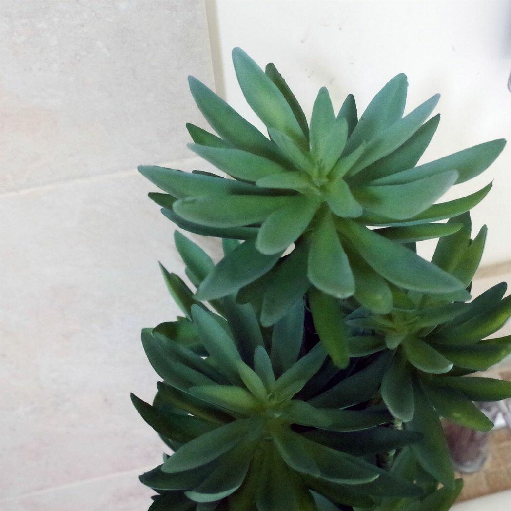 60cm Artificial Tropical Yukka Palm Potted