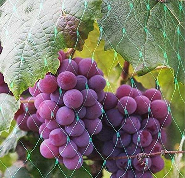 Bird Netting for Garden