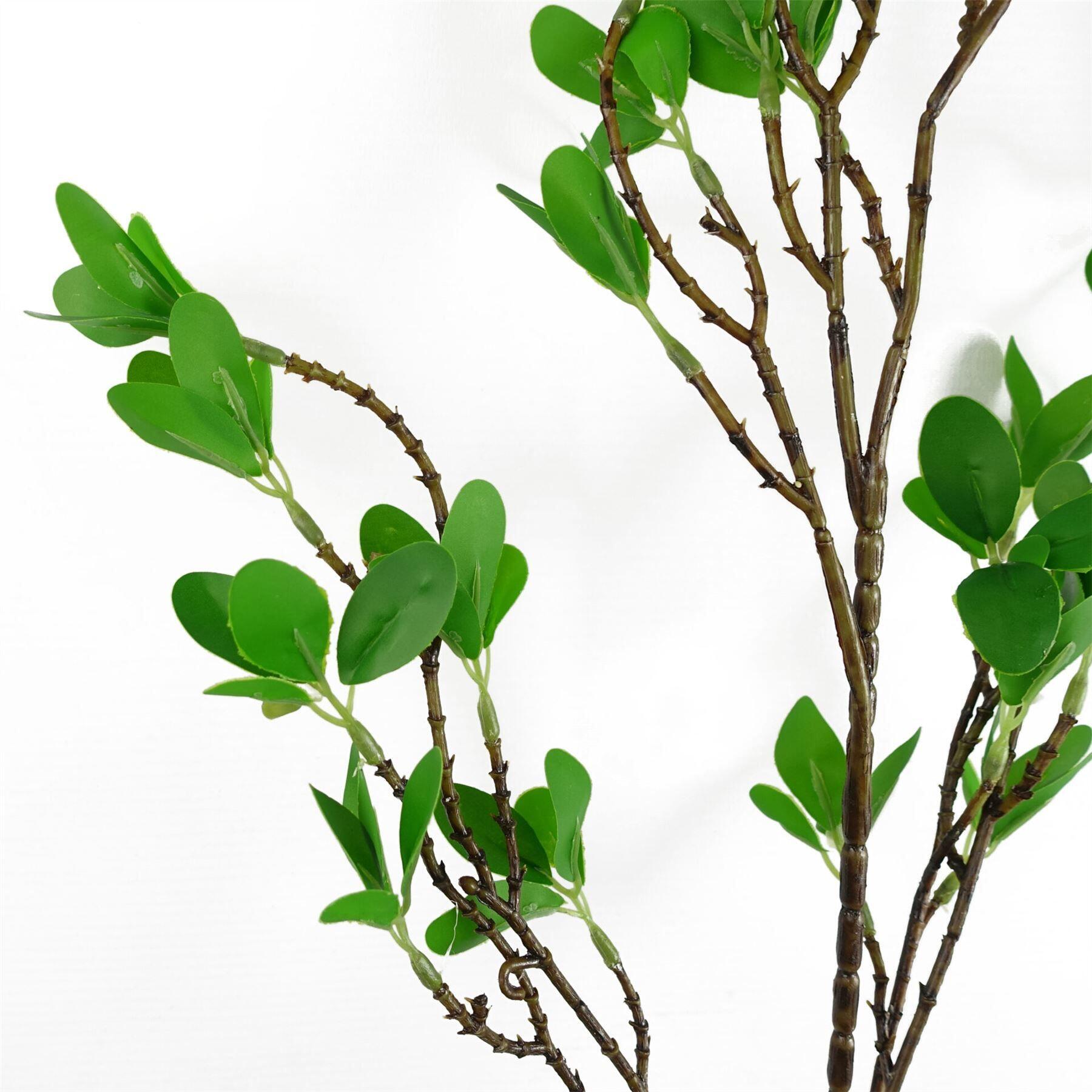 pack of 6 x 100cm mini leaf ficus view 2