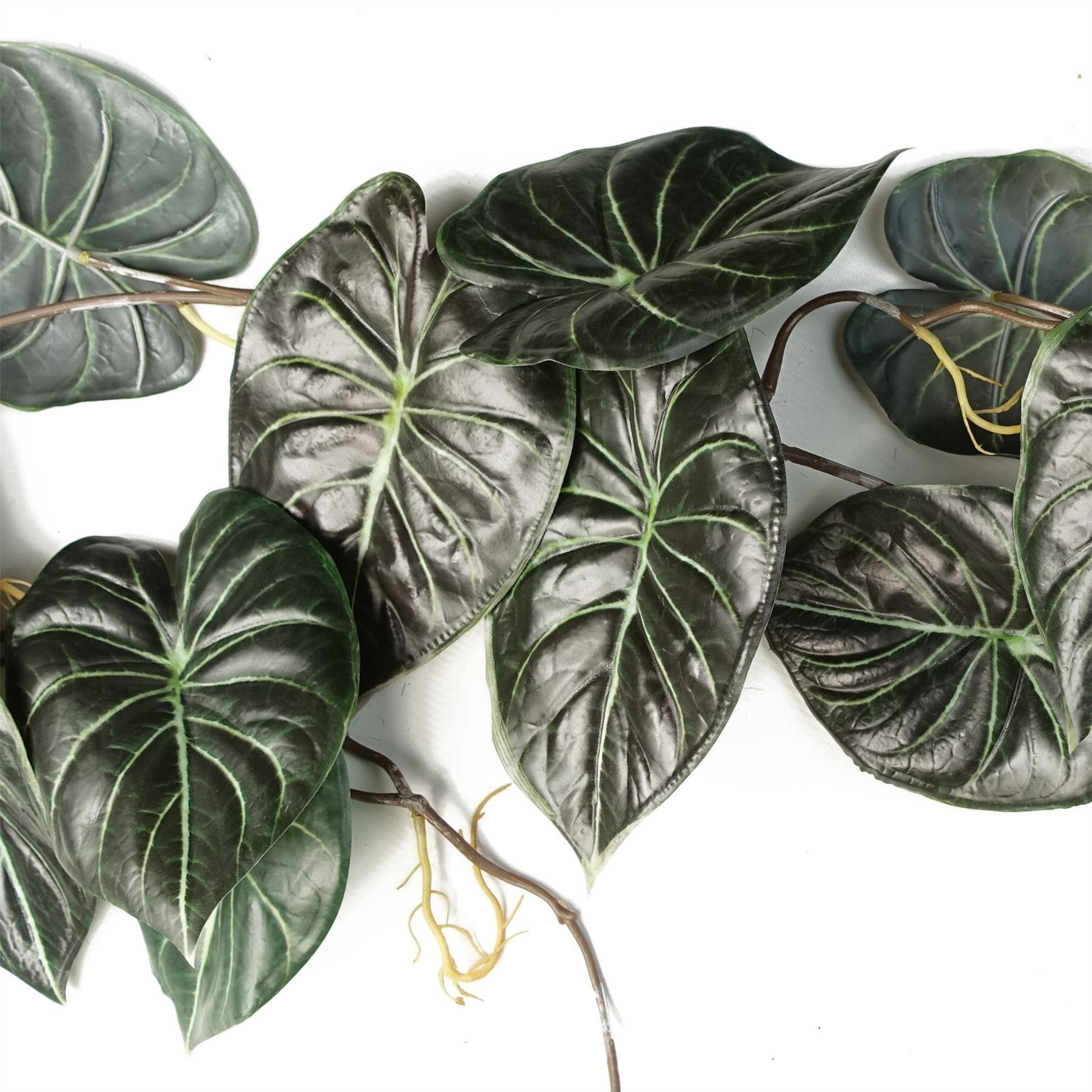 image of 6 x 120cm artificial hanging trailing plant alocasia dragon scale dark view 1