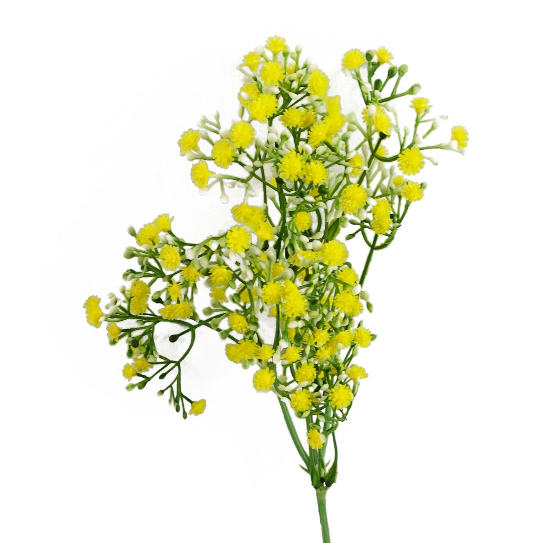 image showing 55cm gypsophila yellow stem