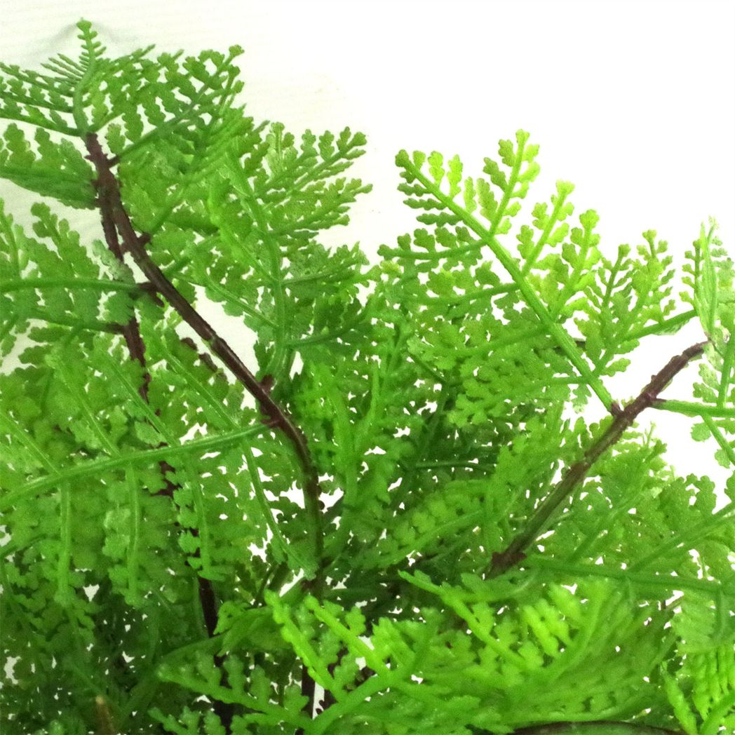 30cm Artificial Potted Lady Fern (Athyrium Filix-Femina) alternative style 2