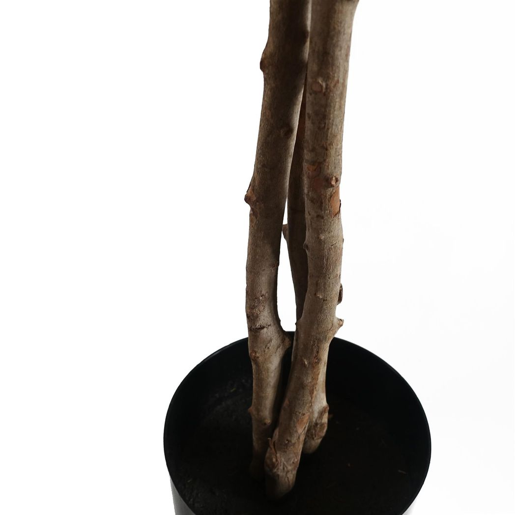 tree forsythia 60cm artificial product image
