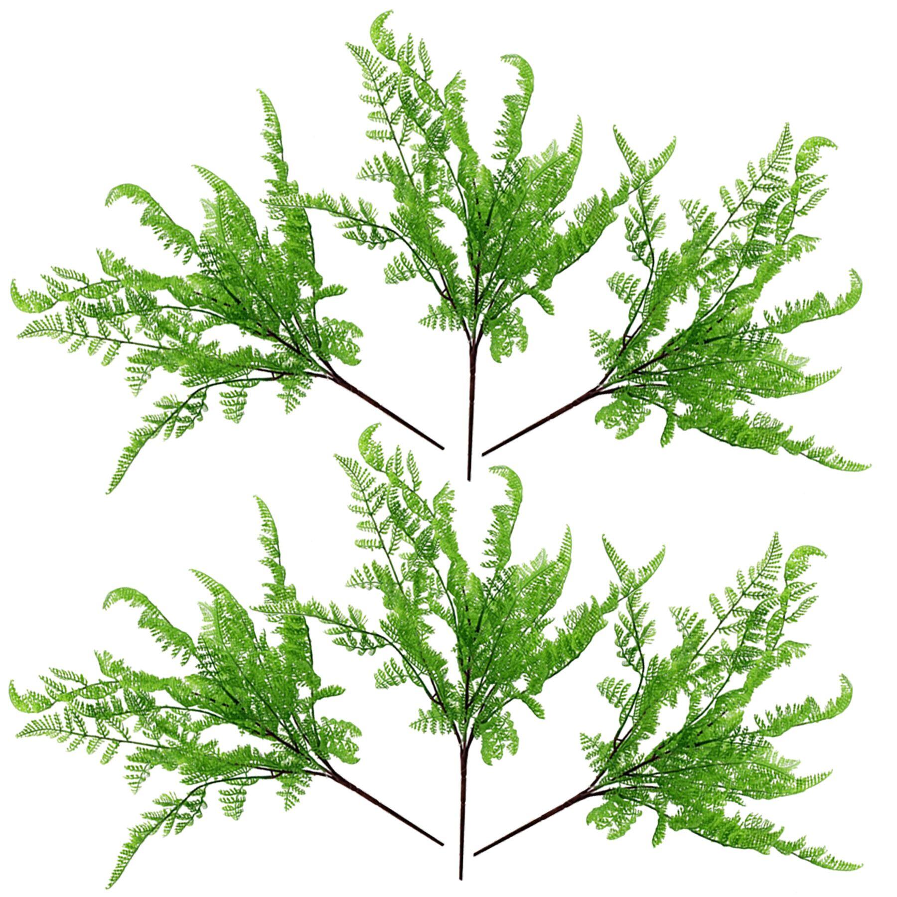 fern bush 50cm dark 6 southern green product image