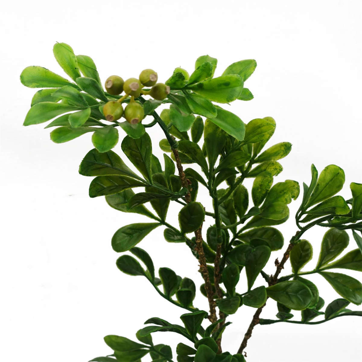 artificial odorata 45cm bonsai ficus tree aglaia product image