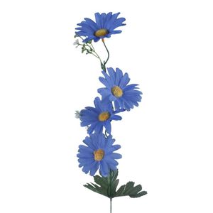 blue daisies stem flowers